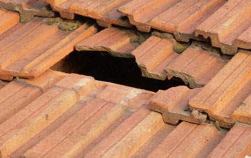 roof repair Bromham