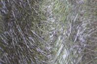 Bromham fibreglass roof work